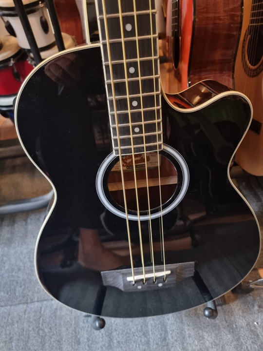 OSCAR SCHMIDT OB 100 (B)