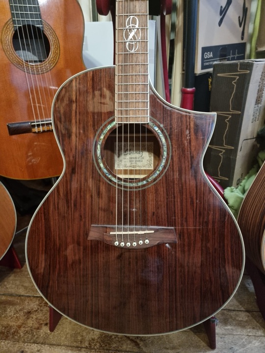 Ibanez EW20WNE-NT – mic ej fungerande