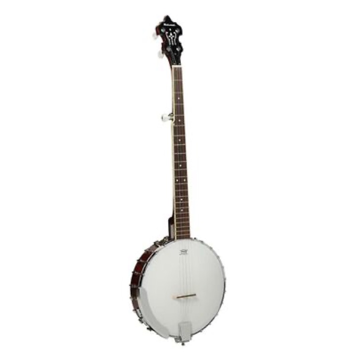 Richwood Heritage Series folk banjo 5-string ,Open back