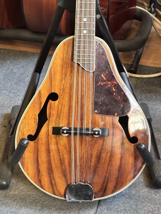 Duke Mandolin HMD7