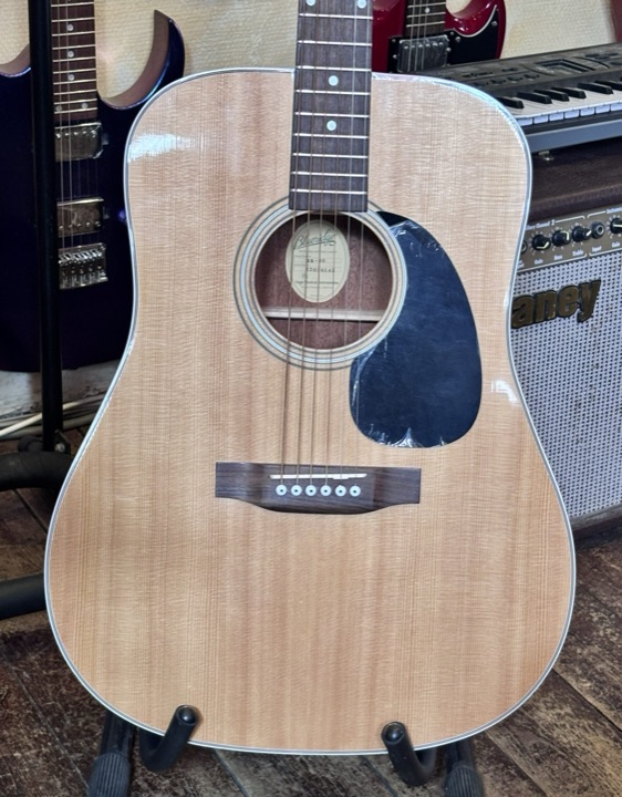Blueridge BR 60